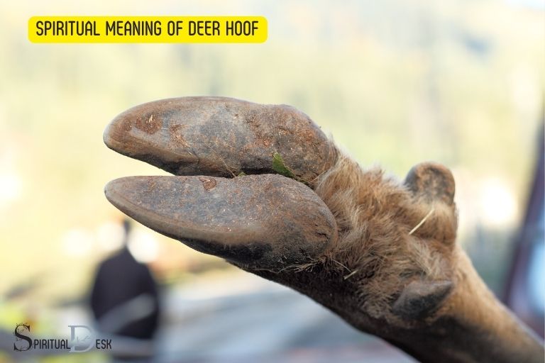 spiritual meaning of deer hoof