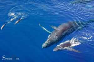 Whales And Dolphins Spiritual