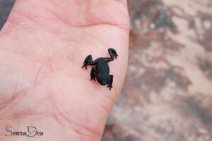 What is the Spiritual Meaning of a Black Frog? Adaptability
