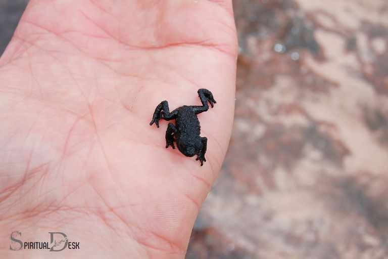 what is the spiritual meaning of a black frog
