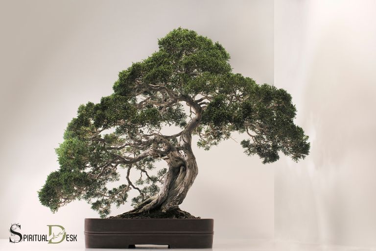 what is the spiritual meaning of a bonsai tree