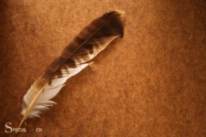 What is the Spiritual Meaning of a Hawk Feather?