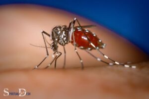 What is the Spiritual Meaning of a Mosquito?