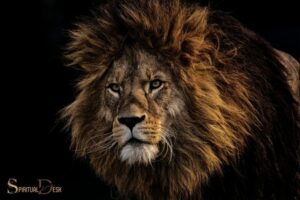 African Spirituality Lion King: Balance!
