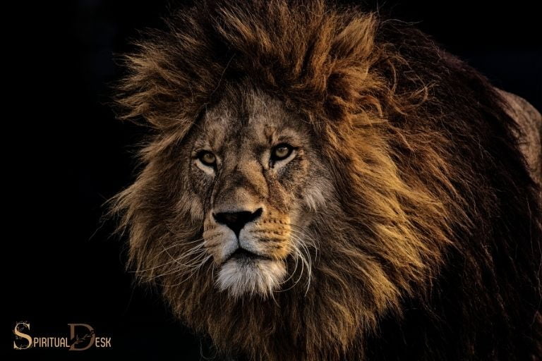 african spirituality lion king