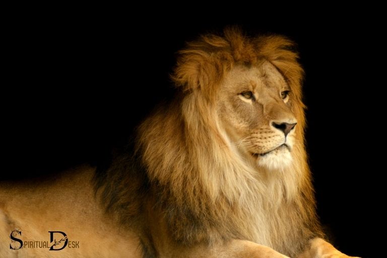 christian spiritual leadership skills of a lion