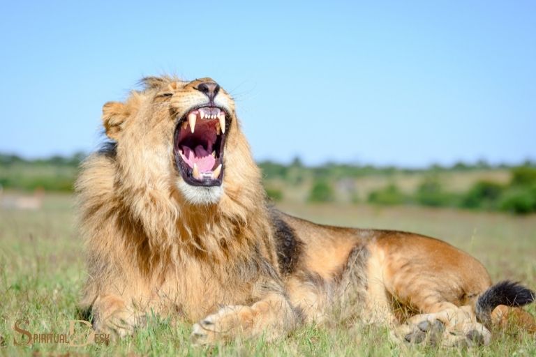 hearing a the lions roar during meditation spiritual meaning