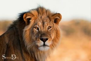 Lion King Spiritual Meaning: Circle of Life!