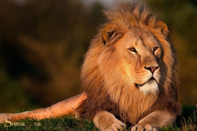 lion of judah spiritual warfare