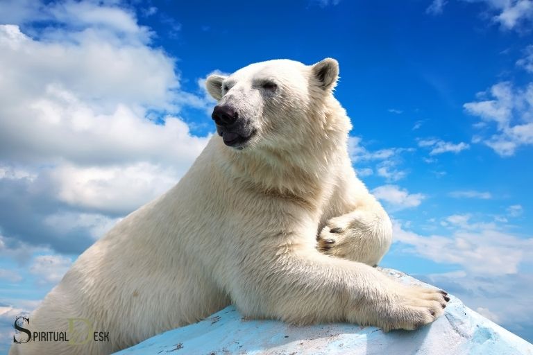 polar bear spiritual meaning