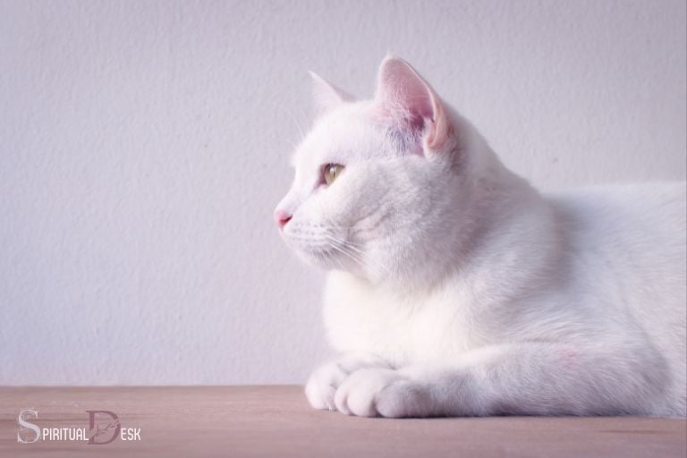 seeing a white cat spiritual meaning