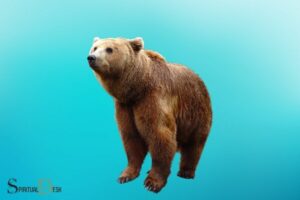 Spiritual Meaning of Bears And Turquoise: Protection!
