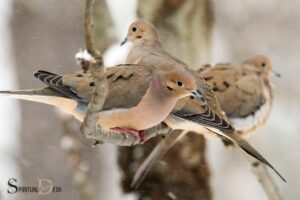 Spiritual Meaning of Doves Gathering