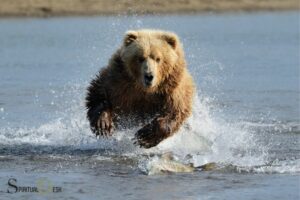 Spiritual Significance of the Grizzly Bear: Perseverance!