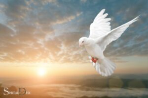Spiritual Teacher Dove Ensenchay: A Complete Guide!