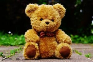 Teddy Bear Spiritual Meaning: Security!