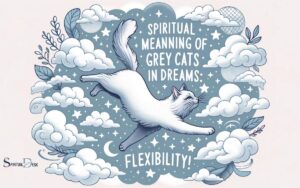 Spiritual Meaning of Grey Cats in Dreams: Flexibility!