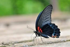 black butterfly spiritual meaning