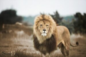Lion Heart Spiritual Meaning