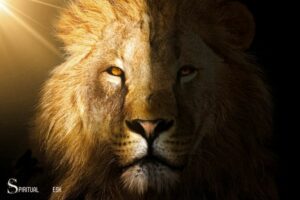 Lion of Light the Spiritual: Enlightenment!