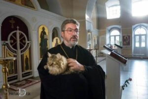 Spiritual Meaning of Cats Christian: Sin Of Pride, Patience!