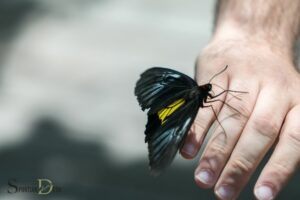 Spiritual Meaning When a Butterfly Lands on You: Freedom!