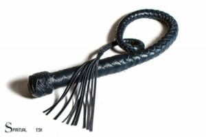 Whats the Spiritual Meaning of Cat of 9 Tails Whip? Power