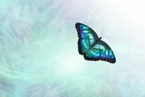 Butterfly Messages & Their Spiritual Meaning Wishing Moonwishing Moon