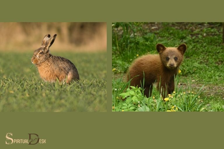 bear and hare candle spiritual meaning