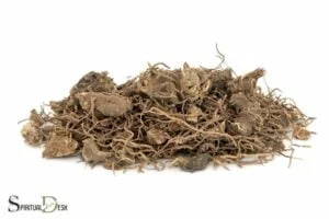 Bear Root Spiritual Uses: Smudging, Healing and Protection!