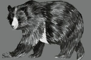 Black Bear Spiritual Paintings on Canvas: Strength!