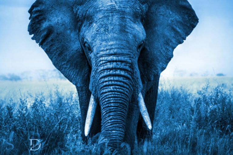 blue elephant spiritual meaning
