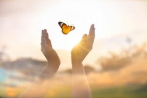 The Butterfly Spiritual Group Exhall: Positivity!