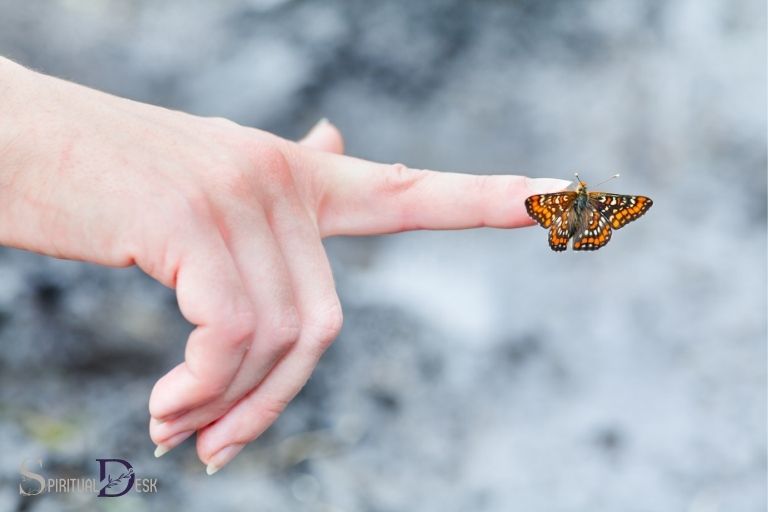 butterfly lands on index finger spiritual meaning