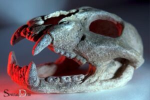 Cat Skull Spiritual Meaning: Wisdom, Protection!