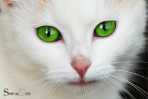 Cat With Green Eyes Spiritual Meaning