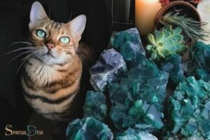 Cats And Crystals Spirituality