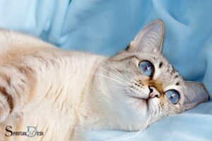 Cats Eye Aquamarine Spiritual Meaning: Protection!