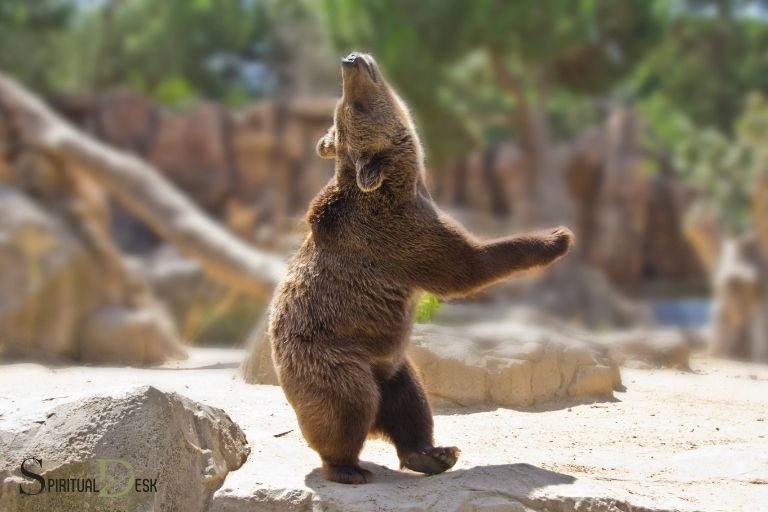 dancing bear spiritual meaning