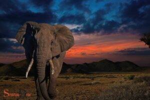 Elephant Spiritual Meaning in Bible