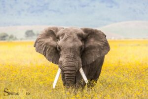 How Spirituality Helped Heal My Trauma Elephant Journal