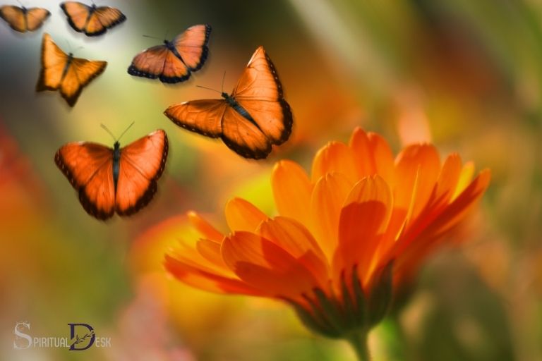 pictures of spiritual butterflies
