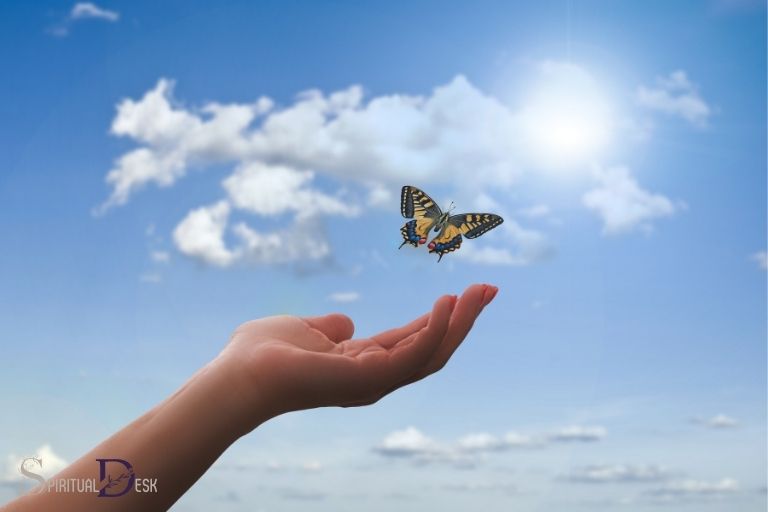 spiritual meaning of butterfly effect