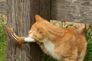Spiritual Meaning of Cat Catching a Chipmunk: Focus!