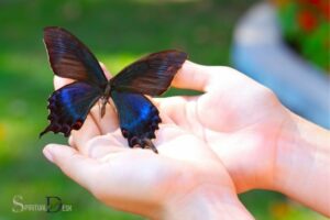 Spiritual Meaning of Saving a Butterfly: Transformation!