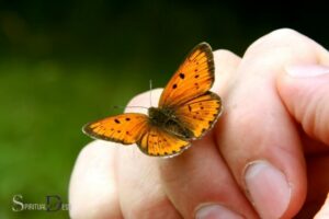 Spiritual Meaning of Yellow Butterfly Landing on You