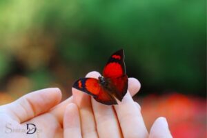 What Does a Red Butterfly Mean Spiritually? Passion!