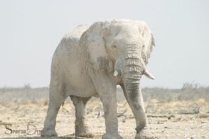 White Elephant Spiritual Meaning: Goodness!