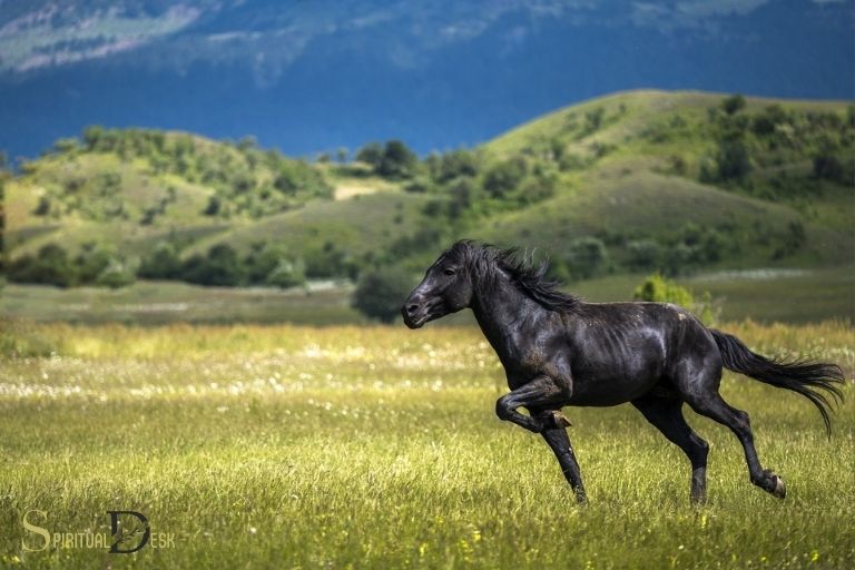 black horse spiritual meaning