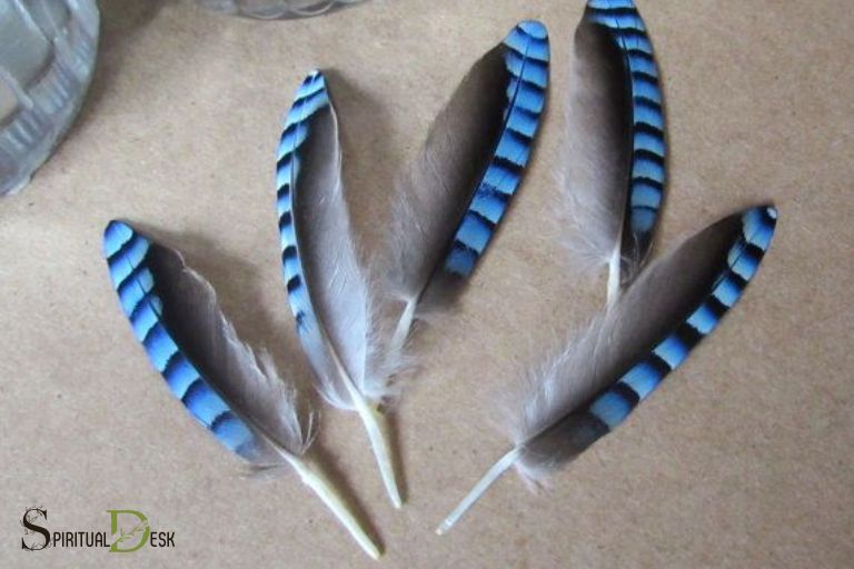 blue jay feather spiritual meaning